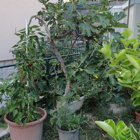Apartman Paro Split Kültér fotó