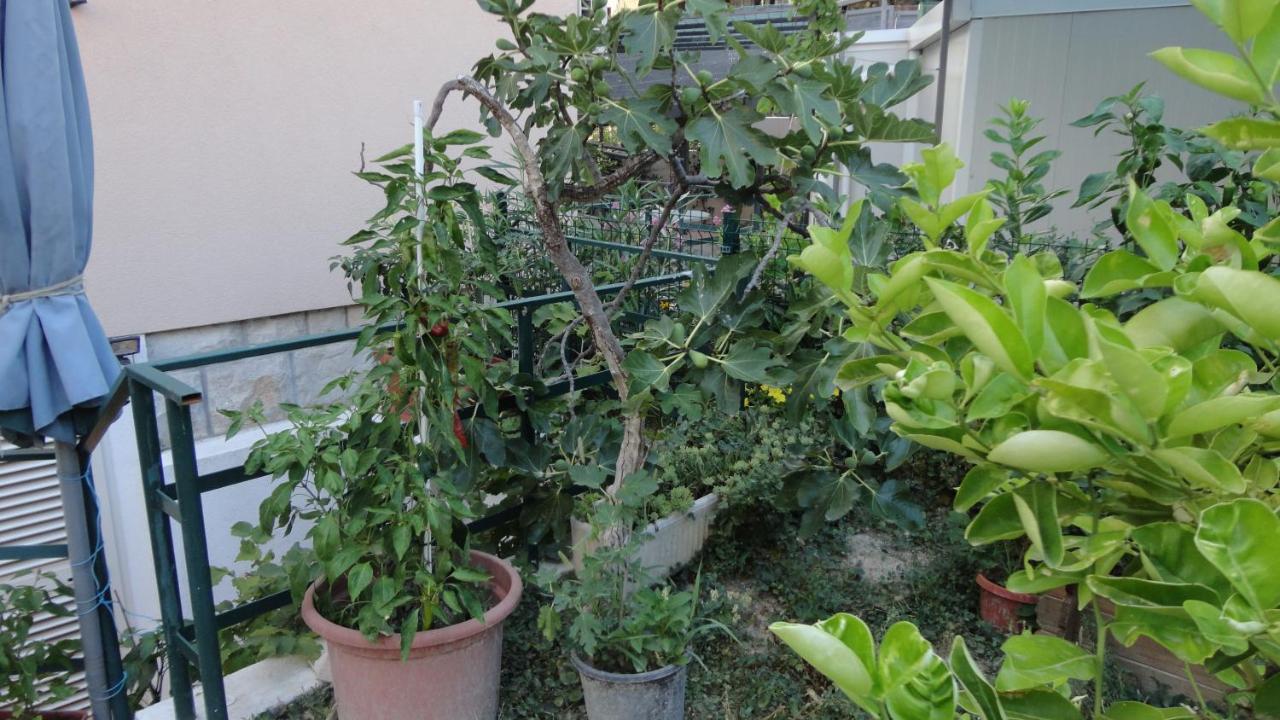 Apartman Paro Split Kültér fotó