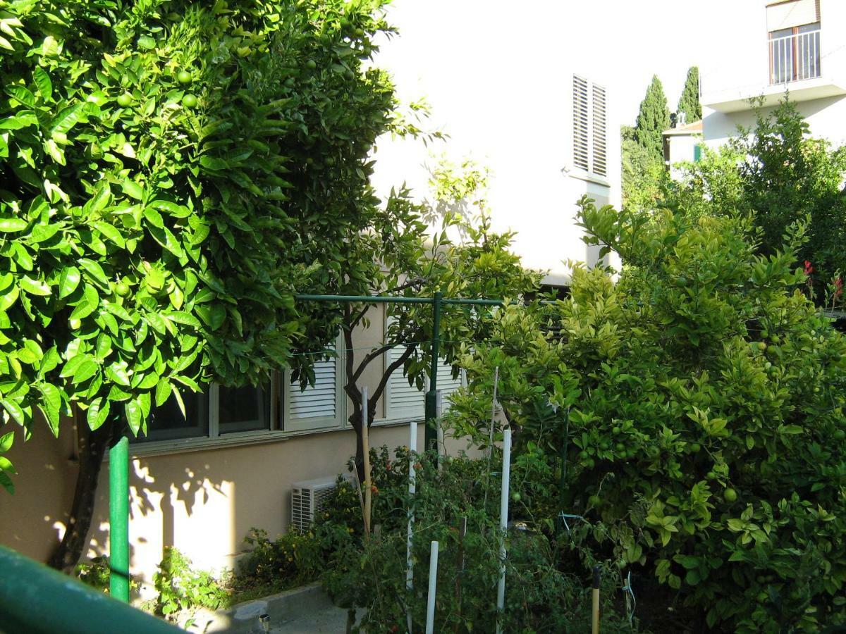 Apartman Paro Split Kültér fotó